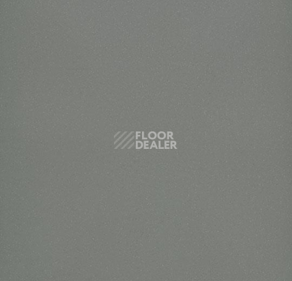 Линолеум Forbo Eternal Colour 40462 elephant фото 1 | FLOORDEALER